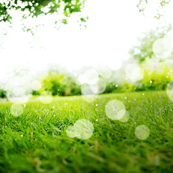 Grüne Landschaft Hintergrund mit Sonnenschein und boke — Stockfoto