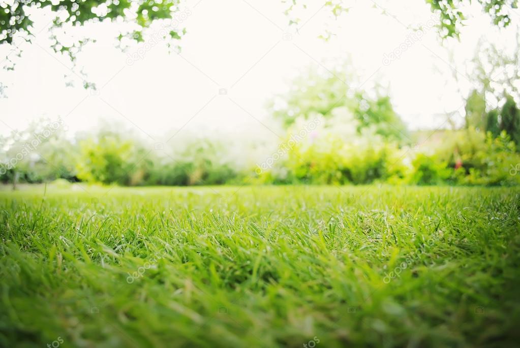 Background with Green Landscape