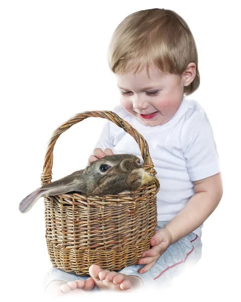 Retrato de lindo chico con conejito en una cesta — Foto de Stock
