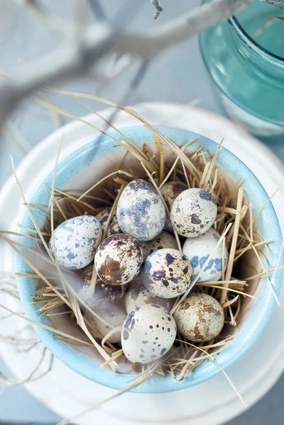 Маленькие перепелиные яйца в горшке бирюзового цвета — стоковое фото