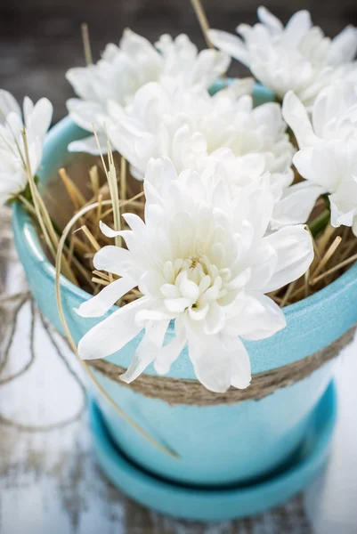 Weiße Blüten im Topf mit türkisfarbener Farbe — Stockfoto