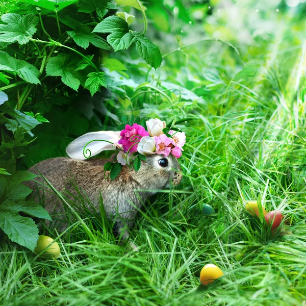 Пасхальный кролик и праздничные яйца на поляне — стоковое фото