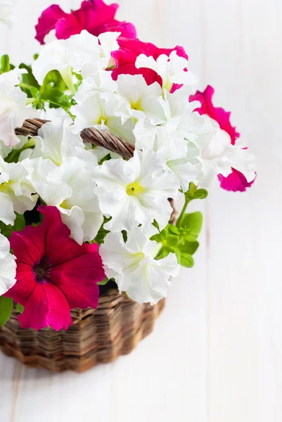 White and Pink Petunia flowers in a wattled basket on wooden bac — Stock Photo, Image