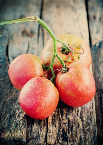 Tomatoes with drops — Stock Photo, Image