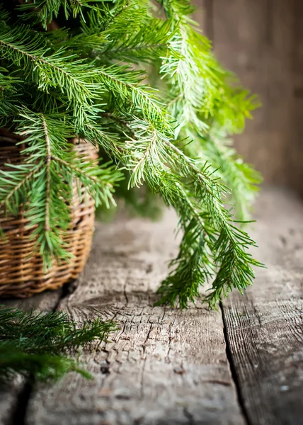 Groene takken van Spar in een mand op houten tafel — Stok fotoğraf