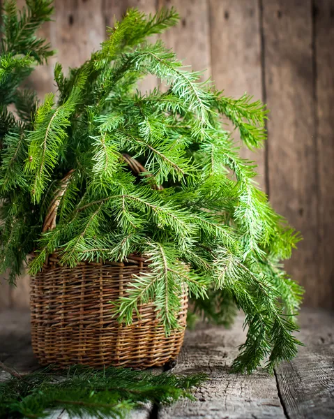 Ramos de Fir em uma cesta em fundo de madeira — Fotografia de Stock