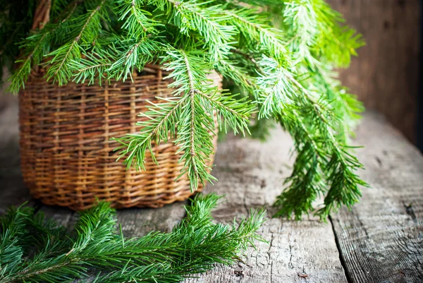 Grüne Tannenzweige in einem Korb auf einem Holztisch — Stockfoto