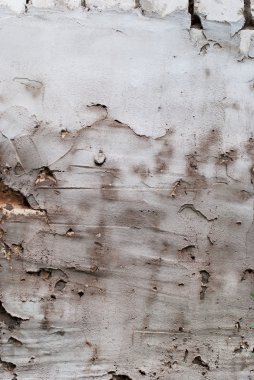 Grunge çimento çizilmiş duvar