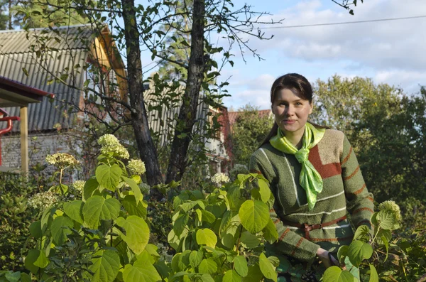 Una ragazza che si prende cura dei fiori . — Foto Stock