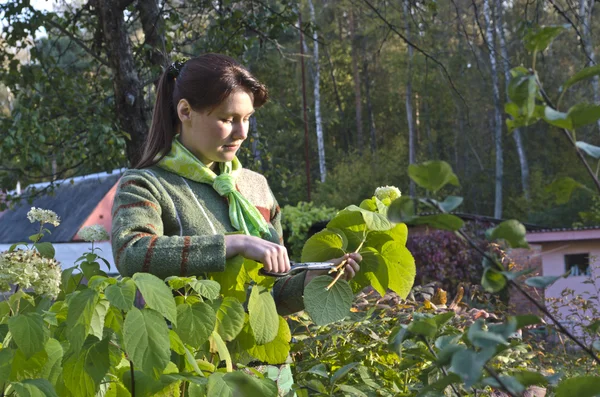 Una joven que cuida de las flores . — Foto de Stock