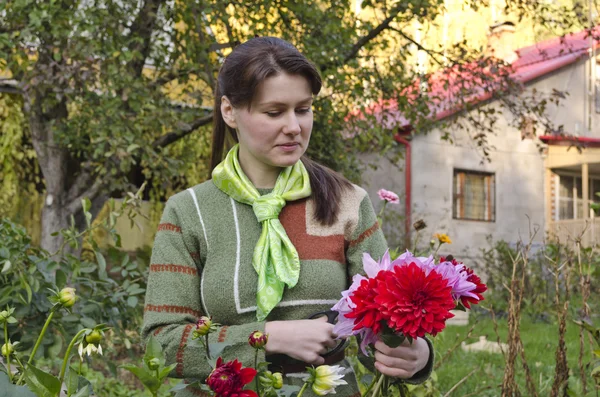 Giovane donna taglia dalie nel giardino d'autunno . — Foto Stock