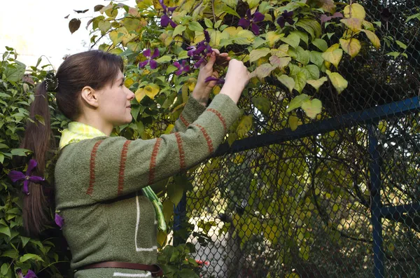 Jonge vrouw permanent in de buurt van een pergola — Stockfoto