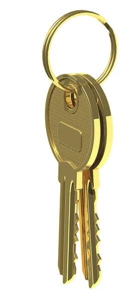 Iki altın anahtar — Stok fotoğraf