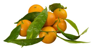 mandalina, mandarine