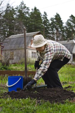 yataklar için sebze hazırlama