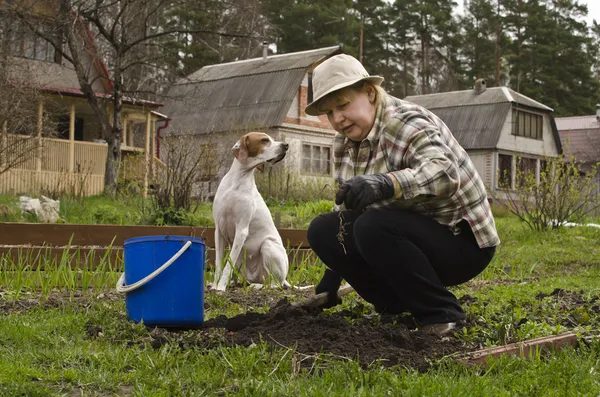 preparing beds for vegetables