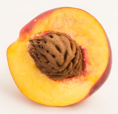 Kuru soğan yarım taş meyve