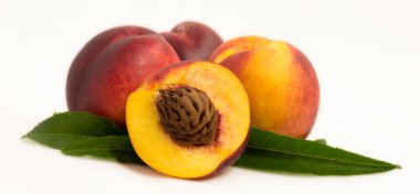 NEKTARİN çukurları ile meyve ve yaprakları