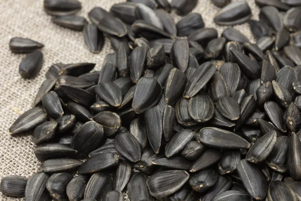 Unrefined sunflower seeds — Stock Photo, Image