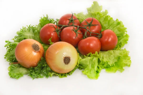 Свежий зеленый салат, лук и помидоры — стоковое фото