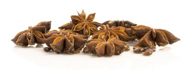 yıldız anason. kurutulmuş tohumları bitki pimpinella anisum l.