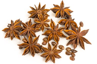 yıldız anason. kurutulmuş tohumları bitki pimpinella anisum l.
