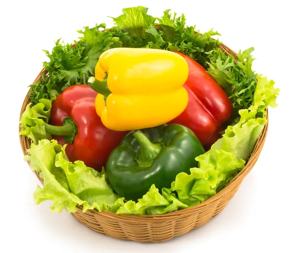 Colorful sweet peppers are in a basket with lettuce — Stock Photo, Image