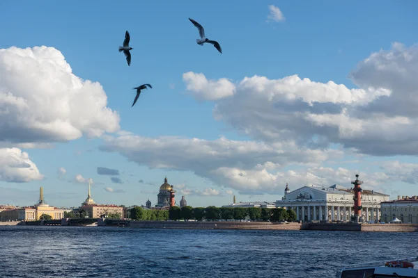 St. petersburg. Blick auf die Insel Wassilewski — Stockfoto