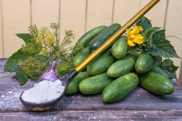Plucked cucumbers and ingredients for their salting — Stock Photo, Image