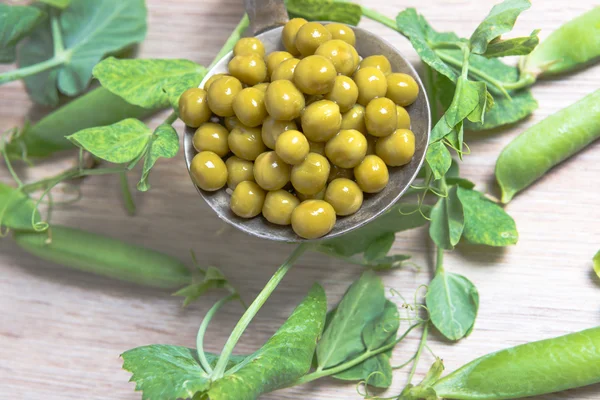 Boiled green peas, pods and branches — Stock Photo, Image