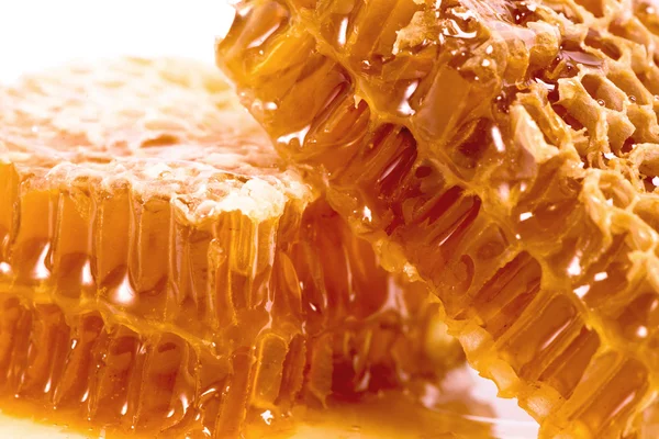 Rayons de miel de cire avec du miel - gros plan — Photo