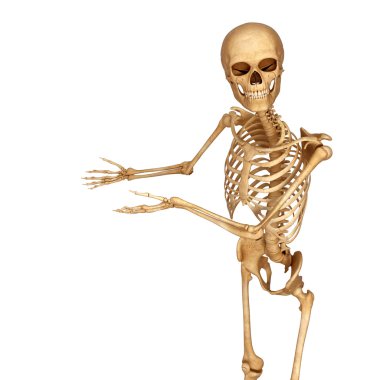 boş doğru işaret iskelet