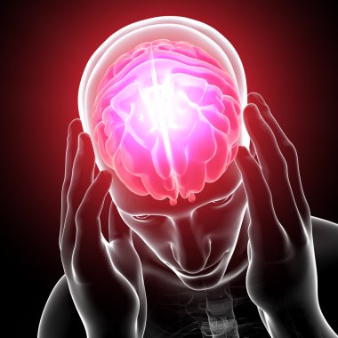 Beyin ağrısı anatomisi