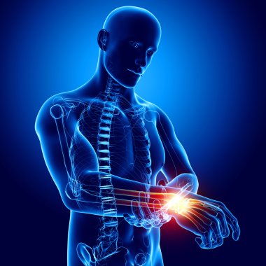 Mavi el ağrısı anatomisi