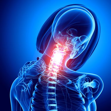 Mavi dişi nake acı anatomisi