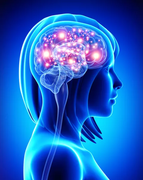 Female active brain — Stock Photo, Image