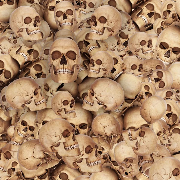 Lots of skulls — Stock Photo, Image