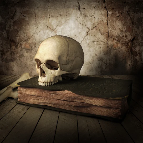 Skull on books — Stock Photo, Image