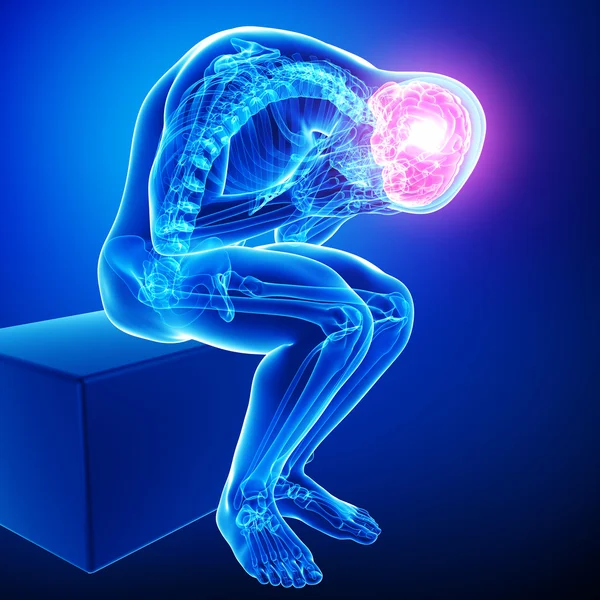 Brain pain anatomy — Stock Photo, Image