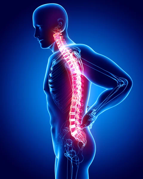 erkek omurga ağrısı