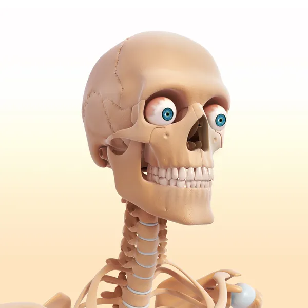 Human skeleton of head with eyes, teeth — Stock Photo, Image