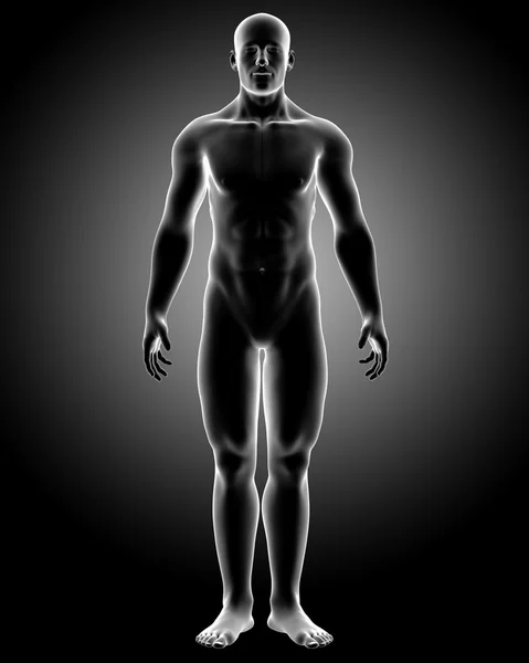 işlenmiş tıbbi x-ray illüstrasyon insan vücudunun yan ile poz anatomisi