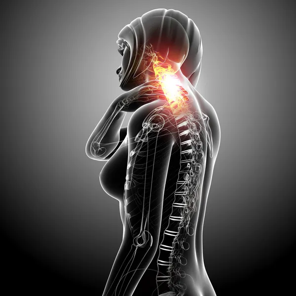 Anatomy female spine pain — Stock Photo, Image