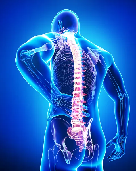 Male spine pain — Stock Image Male spine pain Stock Photo