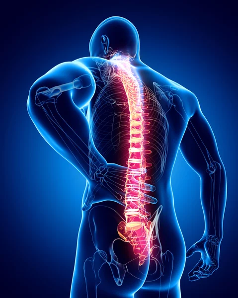Male spine pain — Stock Image Male spine pain Stock Image