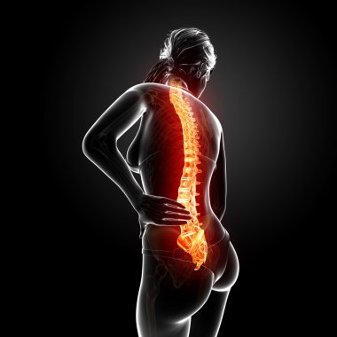 illüstrasyon insan sırt ağrısı vurgulanan spinal kord ile