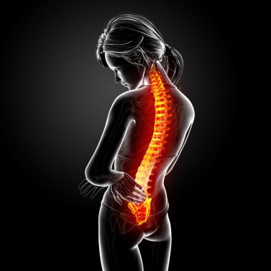 illüstrasyon insan sırt ağrısı vurgulanan spinal kord ile