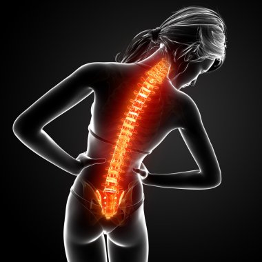 illüstrasyon insan sırt ağrısı vurgulanan spinal kord ile