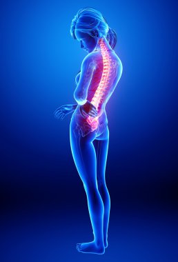 illüstrasyon insan omurga ağrısı mavi vurgulanan spinal kord ile