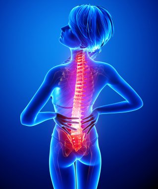 illüstrasyon insan omurga ağrısı mavi vurgulanan spinal kord ile